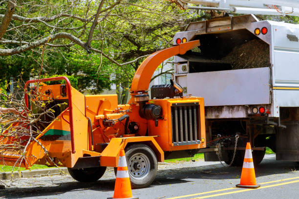 Best Aeration Services  in Lake City, SC